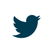 twitter icon